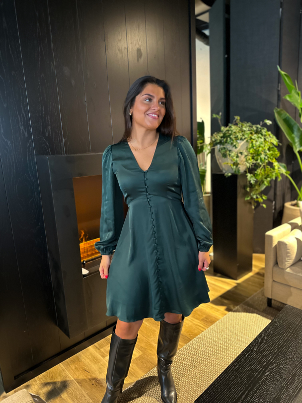 Jyline Short Buttoned Satin Dress - Scarab - Image 4