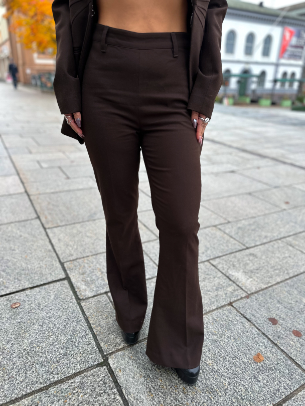 Stellanor Flared pant - Molé  - Image 1