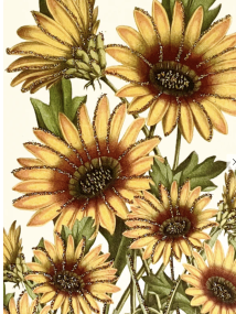 Screenshot 2024-10-26 at 21.41.09.png