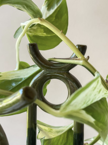 Screenshot 2024-11-24 at 18.46.21.png