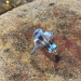 RINES HJERTER - MINI RING (BLANK)