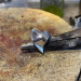 RINES HJERTER - MINI RING (BLANK)