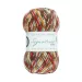 Signature 4 Ply 06 Robin