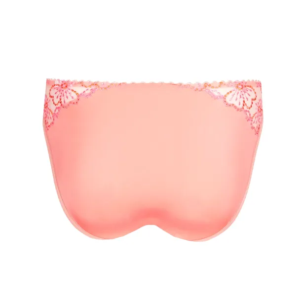 Jane brief, Florida - Image 2