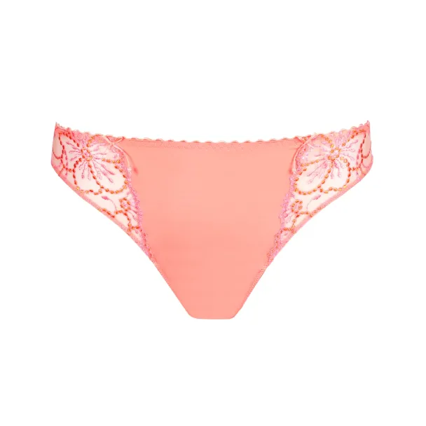 Jane brief, Florida - Image 3