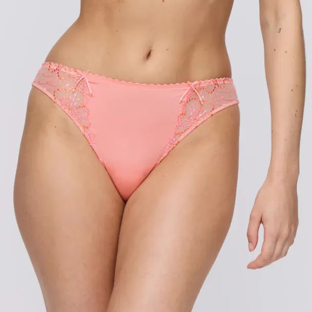 Jane brief, Florida - Image 1