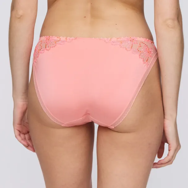 Jane brief, Florida - Image 5