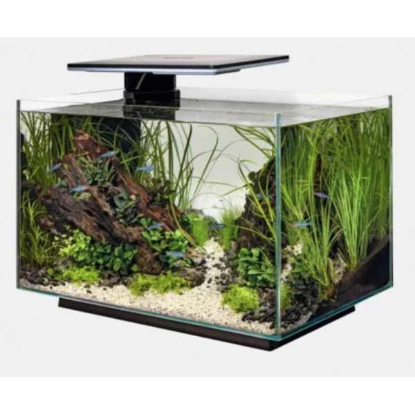 Akvarium Quadro 70 pro / Superfish / Sort modell