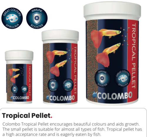 Fiskemat / Tropical Pellet 1000ml