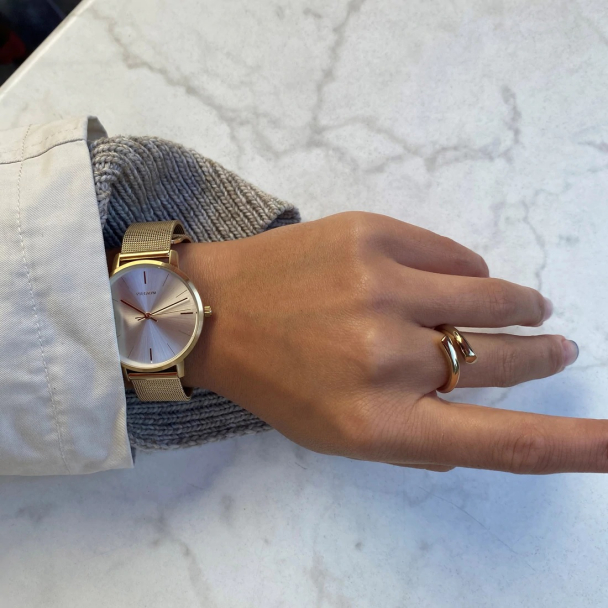 Pilgrim Didi klokke i gullbelagt, rustfritt stål - Image 4