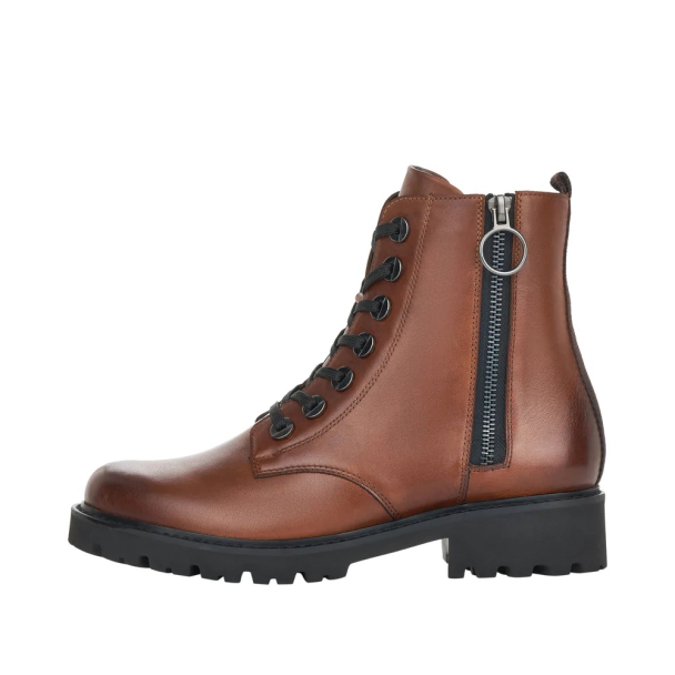 Remonte skolett - Image 5