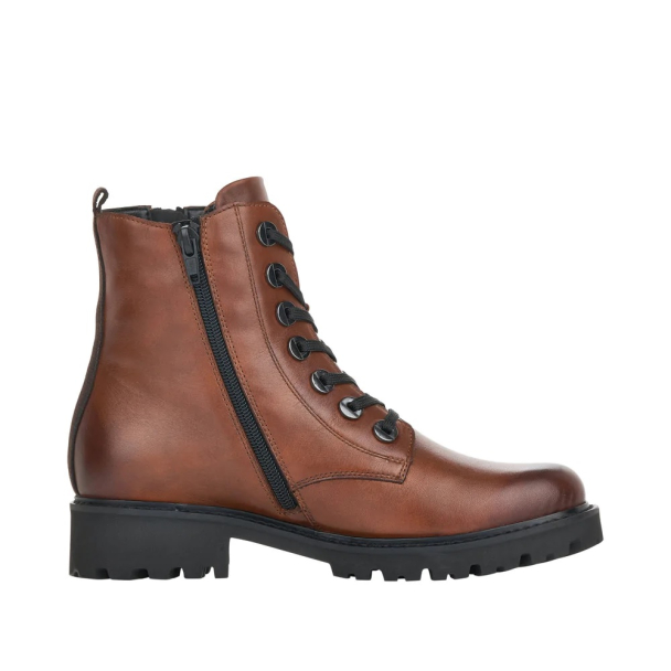 Remonte skolett - Image 6