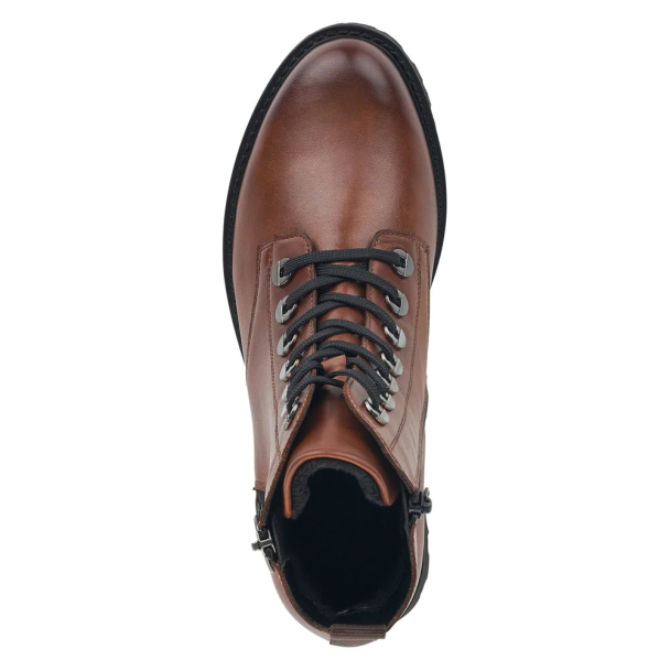 Remonte skolett - Image 7