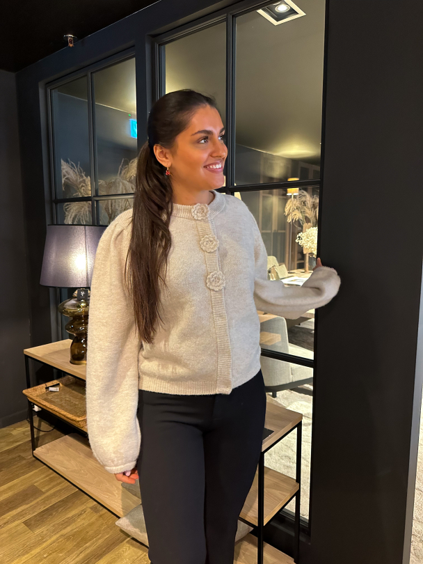 Roselle Knit Cardigan- Birch - Image 2