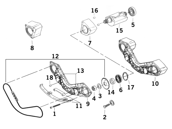 Balance support oil seal