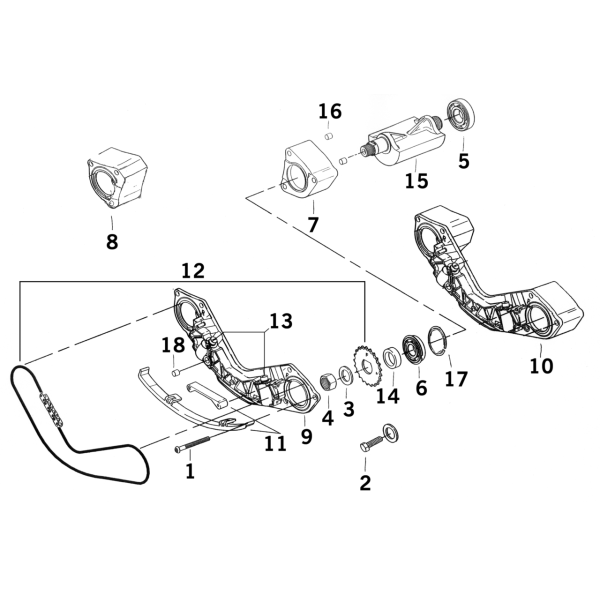 Chain and sprocket kit