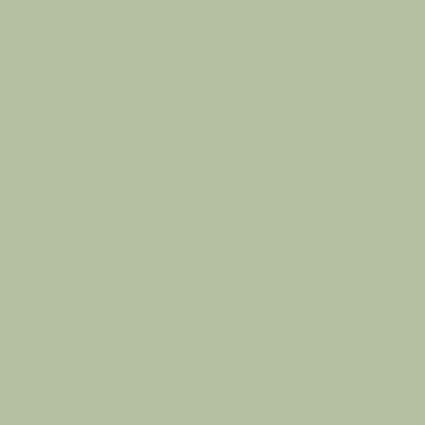 Solid Colors- Sage green