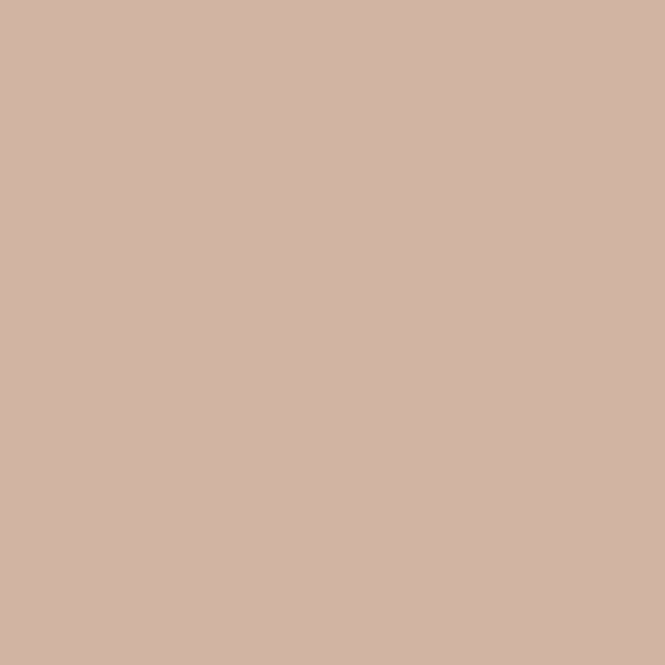 Solid Colors- Cappuccino