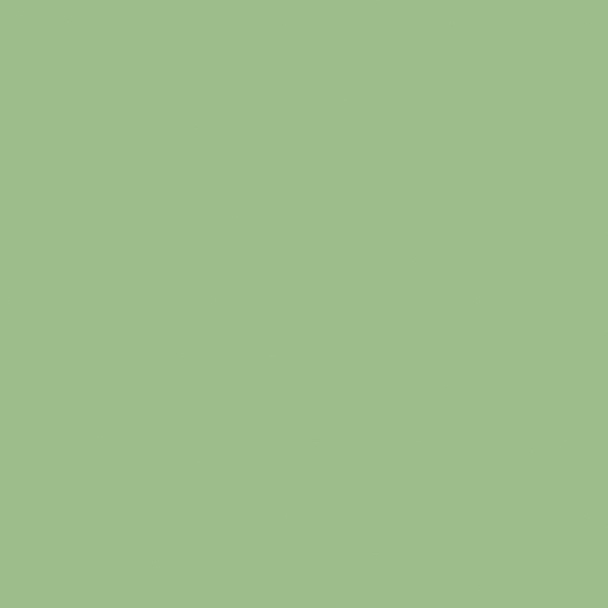 Solid Colors- Fern Green