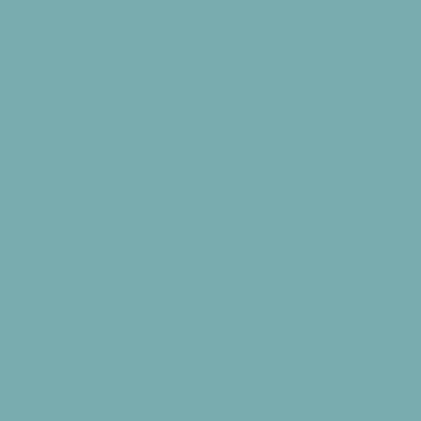 Solid Colors- Dusty teal