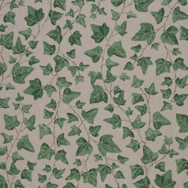 Kanvas eføy - Image 1