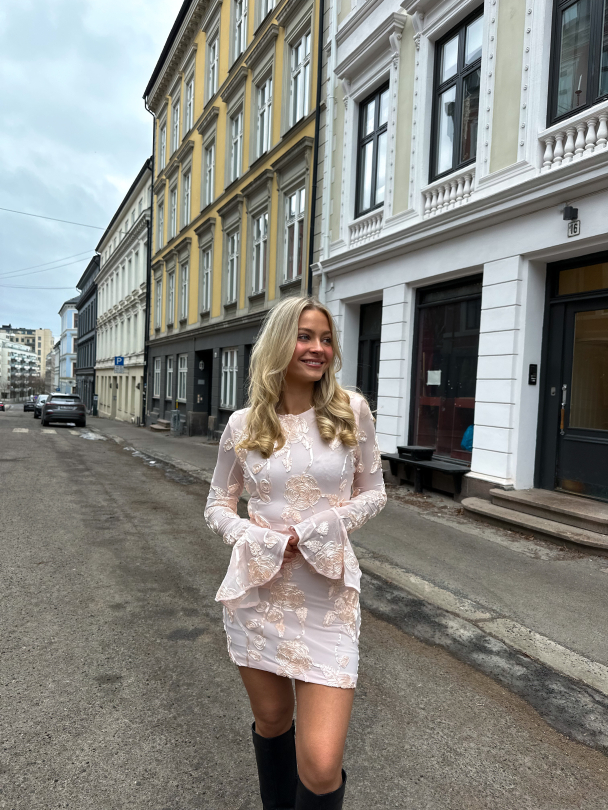 Flower Mesh Mini Dress - Angel Wing  - Image 3