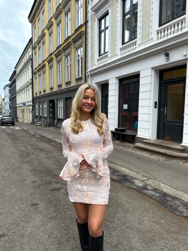 Flower Mesh Mini Dress - Angel Wing  - Image 4
