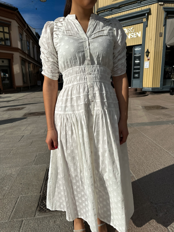 Fabienne Dress - Powder - Image 1