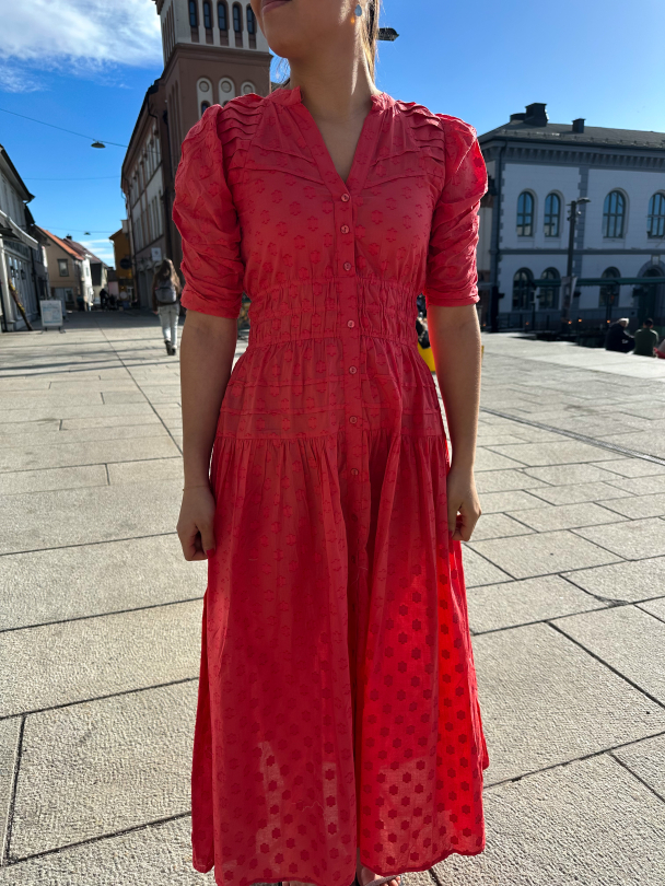 Fabienne Dress - Candid Apple  - Image 1