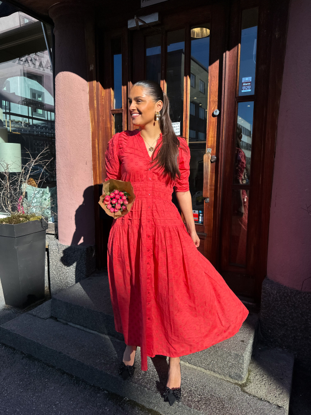 Fabienne Dress - Candid Apple  - Image 4