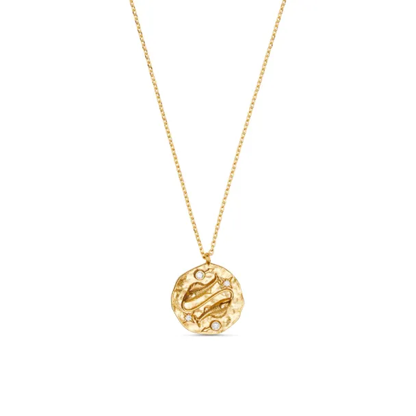 Pisces Zodiac Necklace  - Image 1