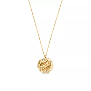 Pisces Zodiac Necklace 