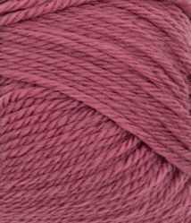 11024244_Mork-gammelrosa_300dpi_Close-up.jpg