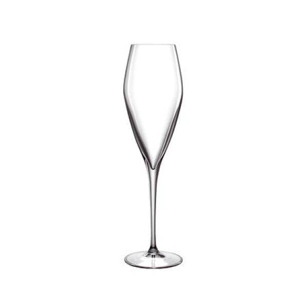 Champagneglass -Atelier sett med 2