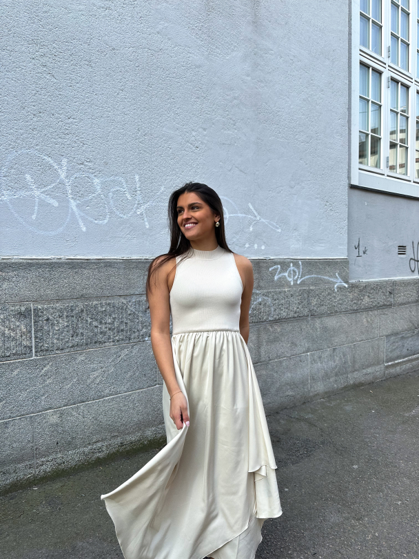 Sama Dress - Birch  - Image 3