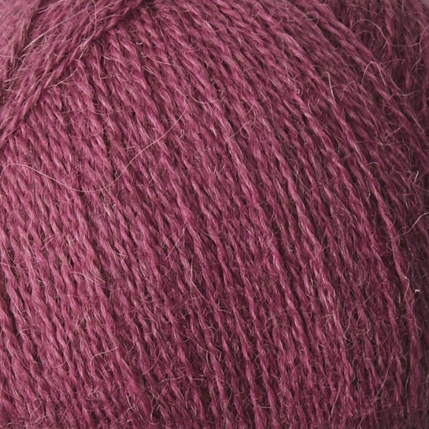 Alpaca 1 - Image 18