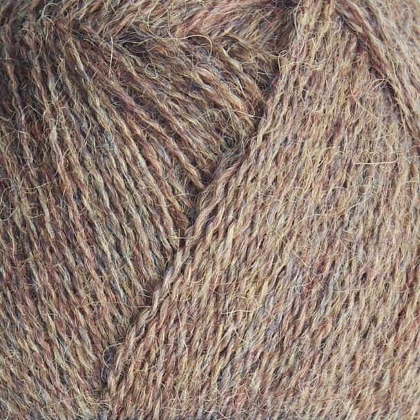 Alpaca 1 - Image 29