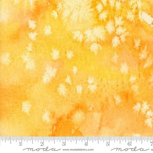 Flow Basics Watercolor -Flow Sunflower