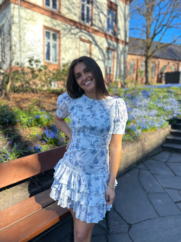 Penelope  Dress - Blue Bird  - Image 2
