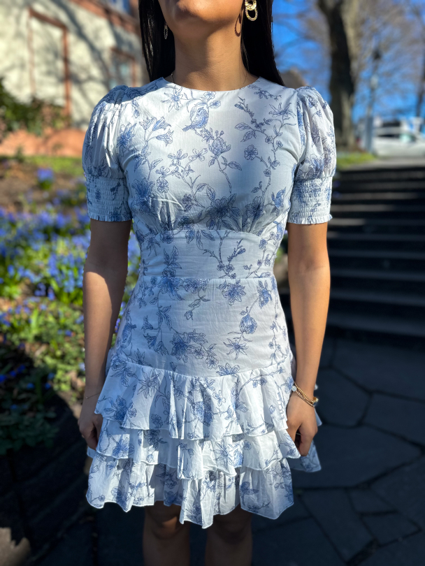 Penelope  Dress - Blue Bird  - Image 1