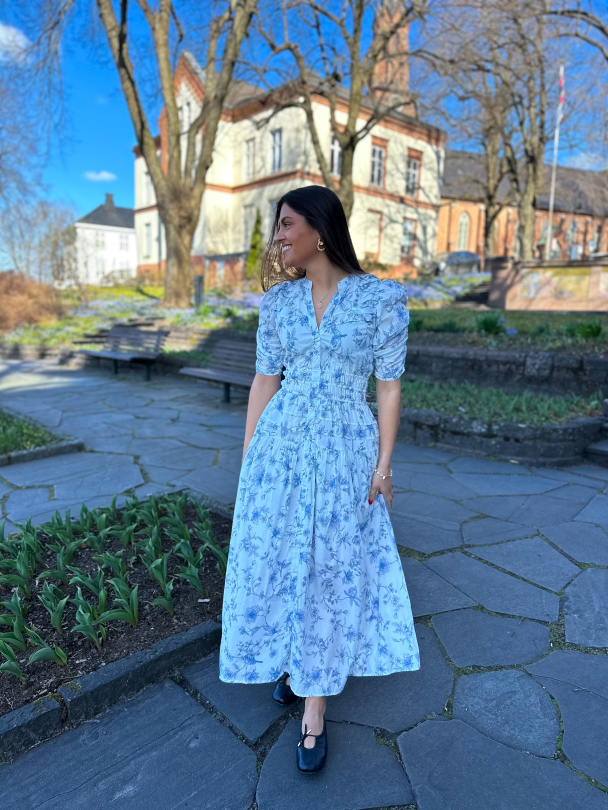 Fabienne Dress - Blue Bird - Image 4