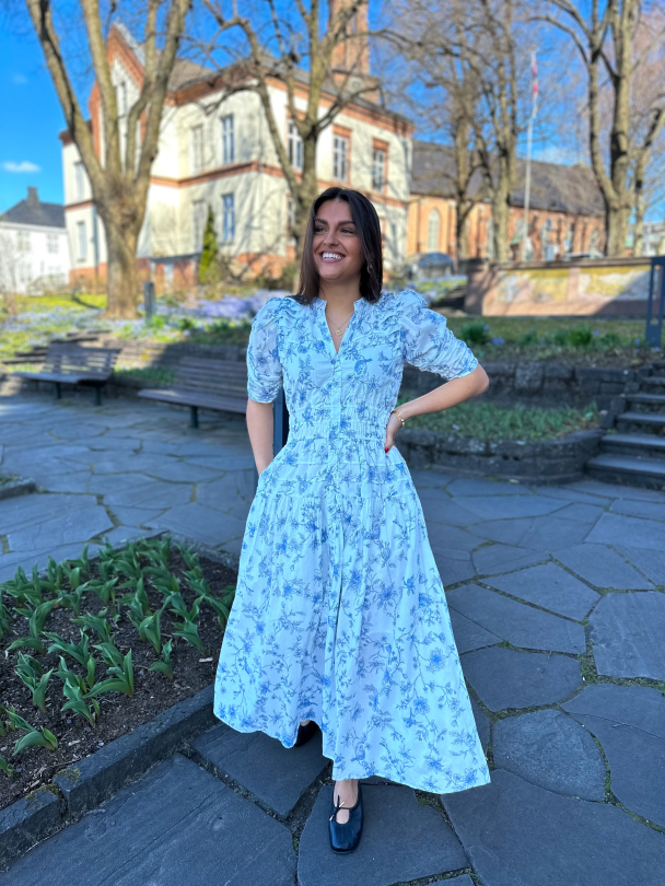 Fabienne Dress - Blue Bird - Image 5