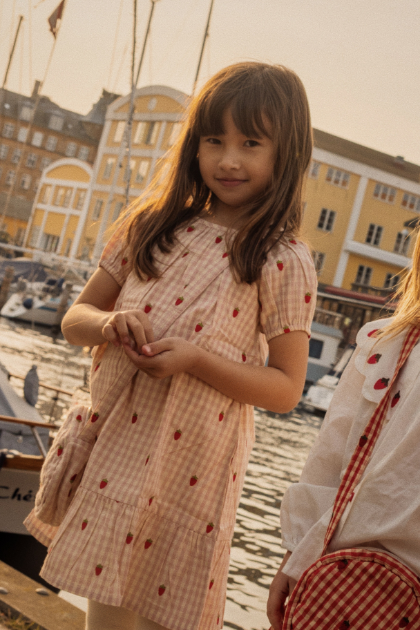 Dolly Dress - Pink Berry Gingham - Image 2