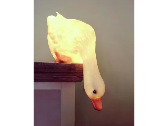 Lampe - Duck looking down