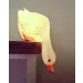 Lampe - Duck looking down