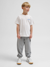 image213_3.png