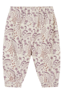 image3636_3.png