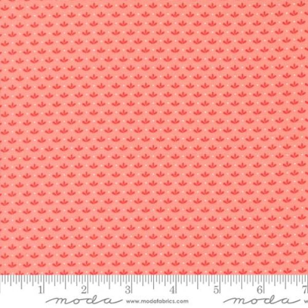 Raspberry summer pink blender
