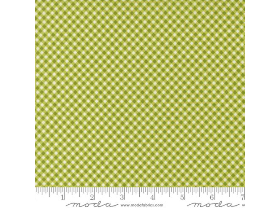 Raspberry summer lime gingham