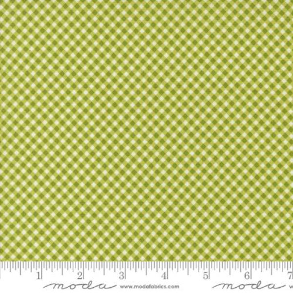 Raspberry summer lime gingham